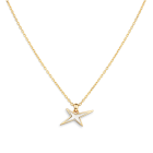 L'Étoile Arlequin Pendant