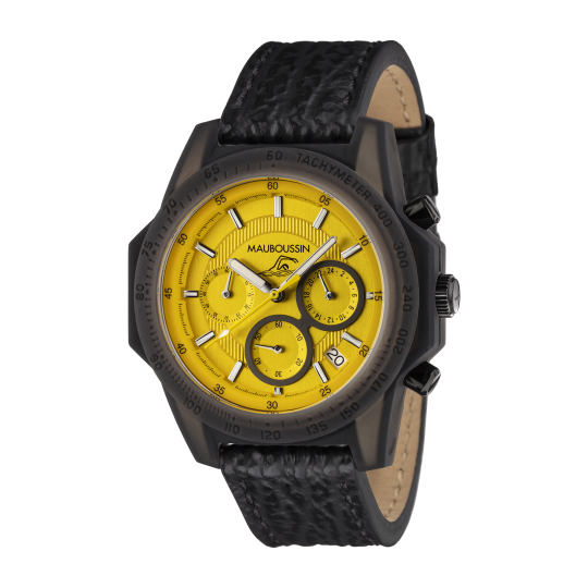 THE SWIMMER watch