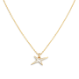 L'Étoile Arlequin Pendant