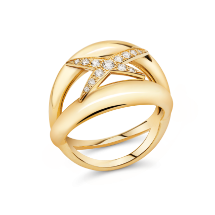 Bague Étoile-Évidence