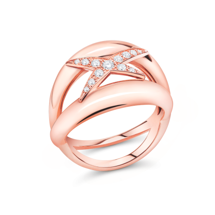 Bague Étoile-Évidence
