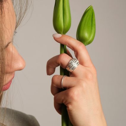 Bague Le Vice et la Vertu