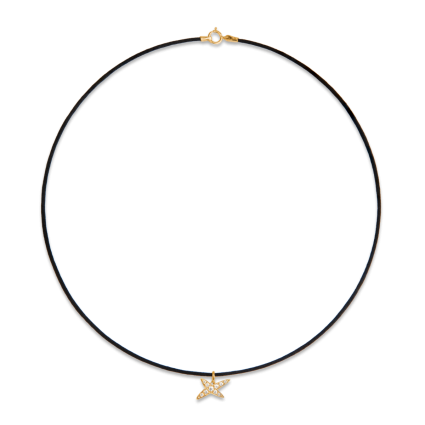 Collier Étoile-Évidence